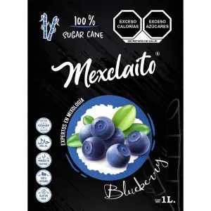 Blueberry Premium 1 Litro