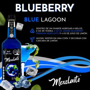 Blueberry Premium 1 Litro