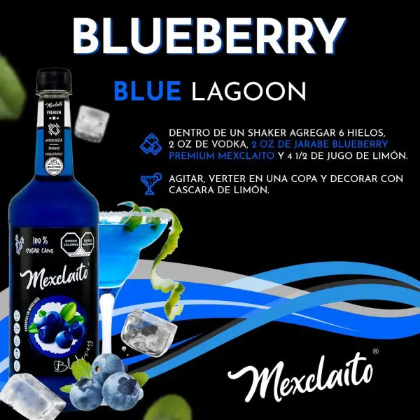 Blueberry Premium 1 Litro